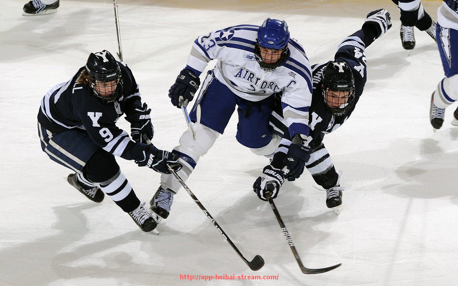 黑白体育直播-意甲球队的女神形象与球迷文化